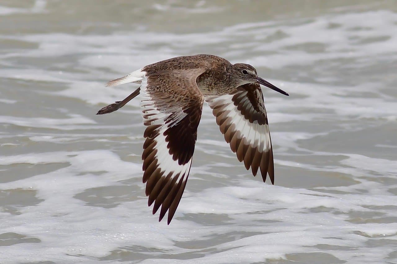Zdjęcie poglądowe projektu nr 2