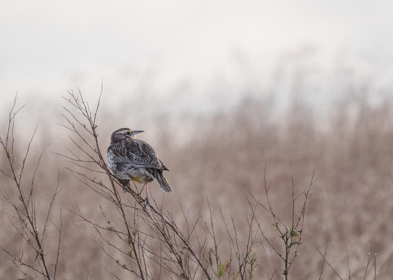 Zdjęcie poglądowe projektu nr 3